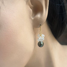 Load image into Gallery viewer, Black Tahitian Pearl with Rainbow Moonstone Gold Earrings
