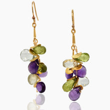 Load image into Gallery viewer, Signature Multi Gem Gold Earrings
